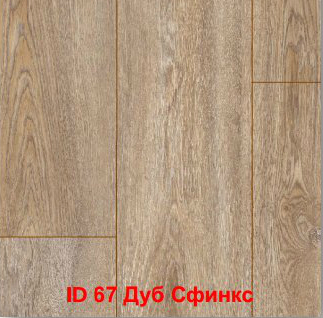 Дуб Сфинкс ID67