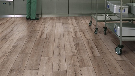 Дуб Горный 8075