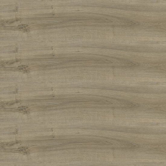 Summer Oak 24933