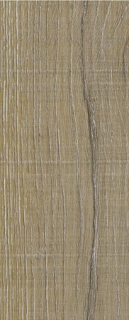 Дуб Горный 8075