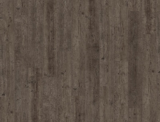 2965 Swedish Pine