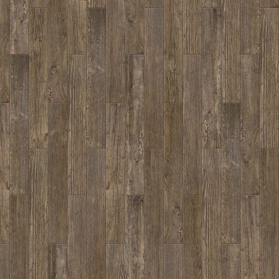 Renoir S 504450005