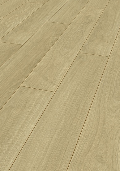 Дуб Северный 8015