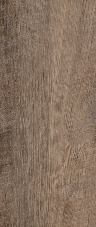 Дуб Красный 8784