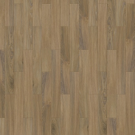 Rubens S 504450002