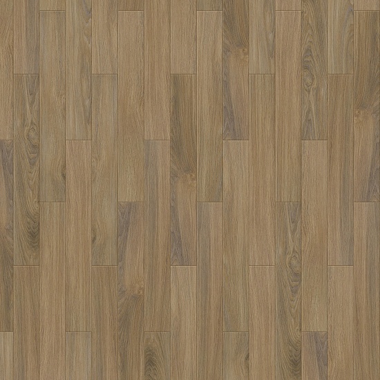 Rubens S 504450002