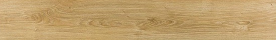 Дуб Сегвей 504044144