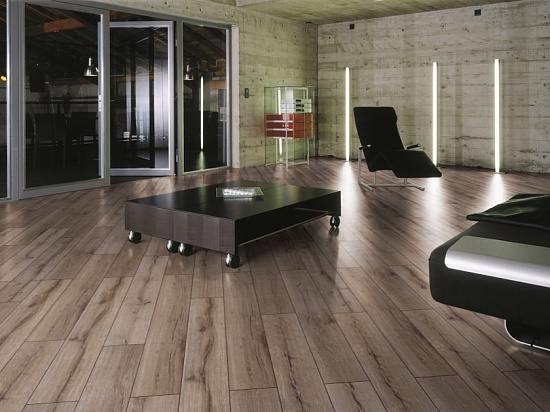 Дуб Горный 8075