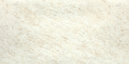 SN18-02 Light