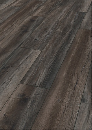 Дуб Черный 8573