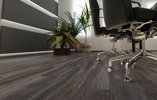 Дуб Черный 8573